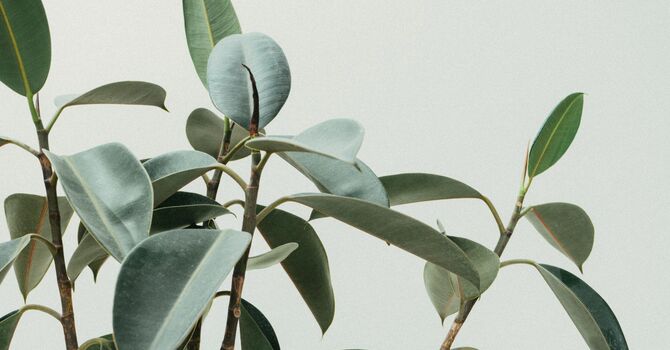 Sample EMG Study image