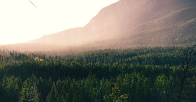 Sample EMG Study image