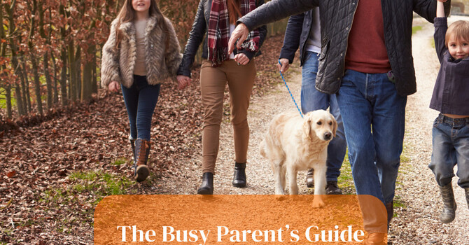 The Busy Parent’s Guide to Conquering the Post-Dinner Slump image